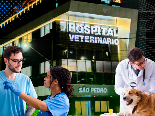Auxiliar Veterinário • Hospital Veterinário São Pedro • 10ª Turma • Extensivo 
